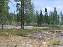 Obraz 193